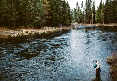 Fly Fishing Bend Oregon An Anglers Guide Into Fly Fishing