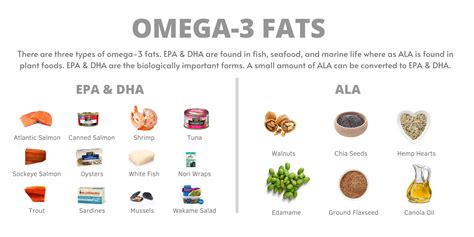 Dietitians Guide To Omega 3 Fats Saskatchewan Blue Cross