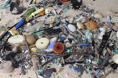 Tiny Uninhabited Pacific Isle Has 38 Million Pieces Of Trash Inquirer