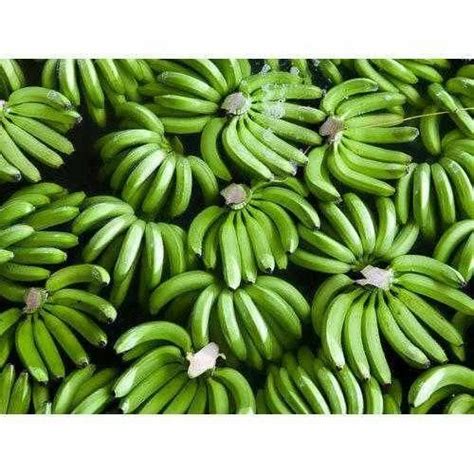 Grade A Fresh Cavendish Banana Packaging Size 13 5 Packaging Type