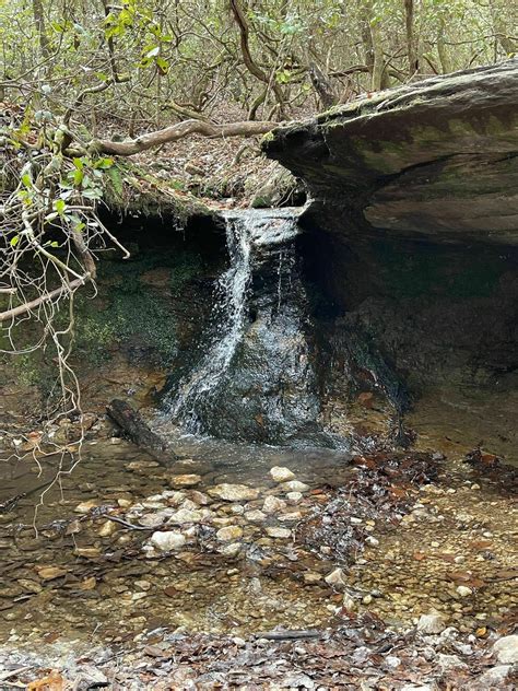 Campbell Creek and Lanier Falls Loop Trail - North Carolina | AllTrails