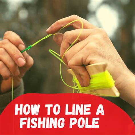 How To Line A Fishing Pole For Dummies Or Beginners Tetra Hook