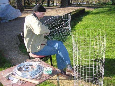 шпалера для клематиса | Nature garden, Garden, Garden tools