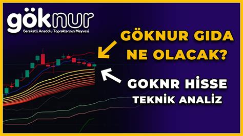 Göknur Gıda Hisse Yorum GOKNR Alınır mı Borsa Son Durum Teknik