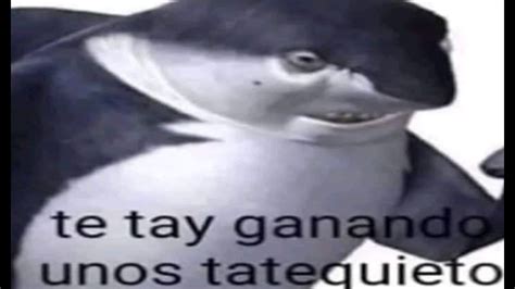 TE GANASTE UN TATEQUIETO YouTube