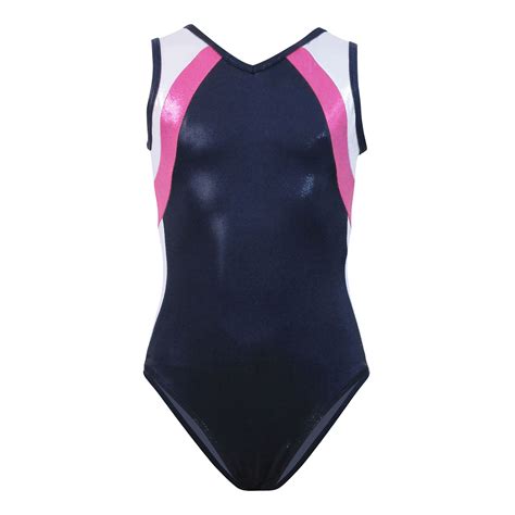 Silhouette Stripe Silver Pink Navy Leotard K Bee Leotards