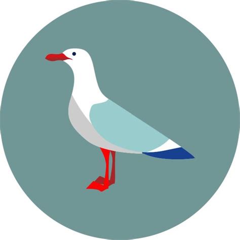 Premium Vector Vector Illustration Seagull Flat Icon