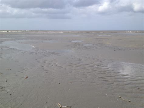 Strand Ameland Strand, Beach, Water, Outdoor, Gripe Water, Outdoors, The Beach, Beaches, Outdoor ...