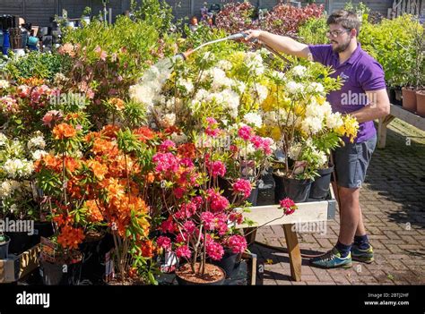 Billy ross pentland plants garden centre hi-res stock photography and ...