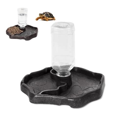 Abreuvoir Tortue Terrestre Reptile Turtle Feeding Bowl Terrarium Water