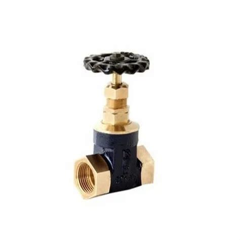 Brass Gun Metal Gate Valve Size Mm Mm At Rs Piece In