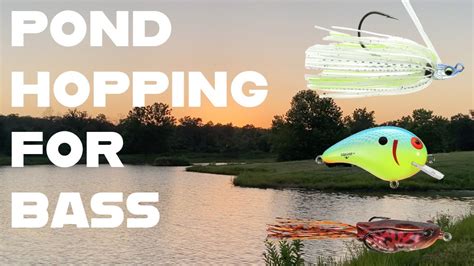 Pond Hopping Farm Ponds For Big Bass Dobynsrods Fishing