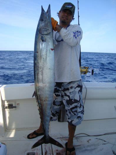 Sea Cross Miami Fishing Miami Beach Fishing Charters