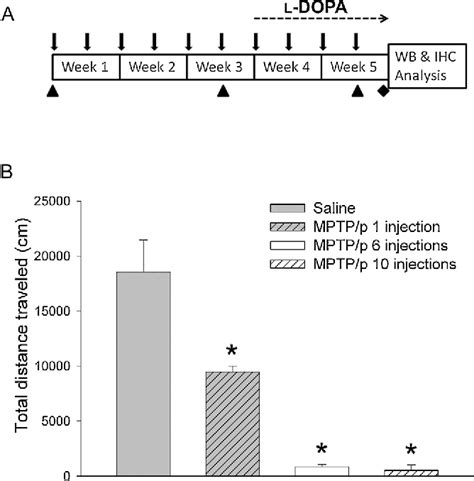 Figure From Chronic Levodopa Treatment Alters Expression And Function