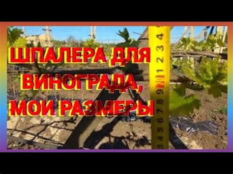 Шпалера для винограда,мои размеры - YouTube