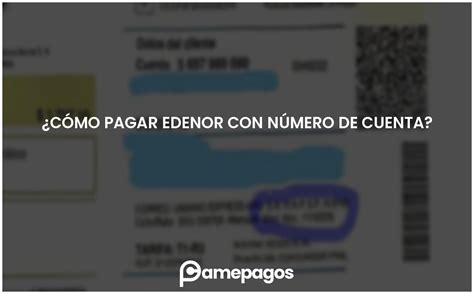 C Mo Pagar Edenor Con N Mero De Cuenta Actualizado