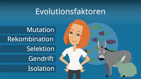 Synthetische Evolutionstheorie Grundlagen Kernaussagen Mit Video