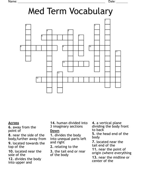 Med Term Vocabulary Crossword Wordmint