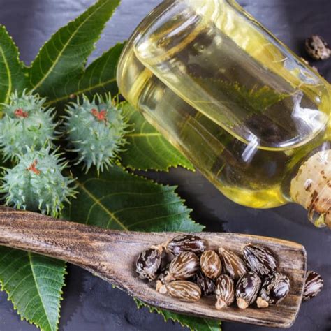 Health Benefits Of Castor Oil Packs And How To Use Them