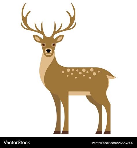 Deer Vector