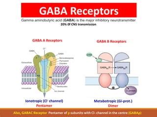 GABA Receptors | PPT