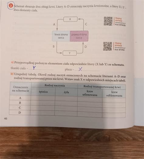 Potrzebuję na teraz bardzo dziekuję osobie ktora mi pomoze Brainly pl