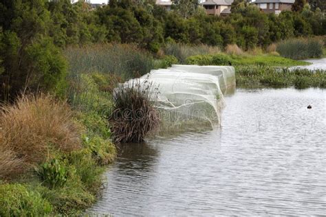 Wetlands Melbourne, Victoria, Australia Showing Trees, Gardens, Lake Stock Photo - Image of ...