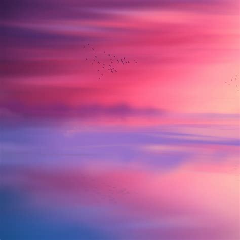 Pink sky Wallpaper 4K, Horizon, Scenic, Flying birds