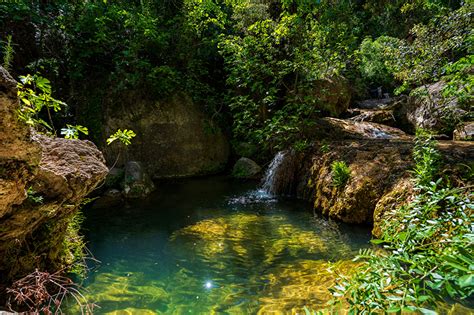 Image Spain Crag Nature Streams Stones Trees