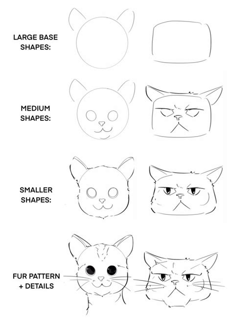 Easy Drawing Guide: How to Draw a Cat Face | XPPen