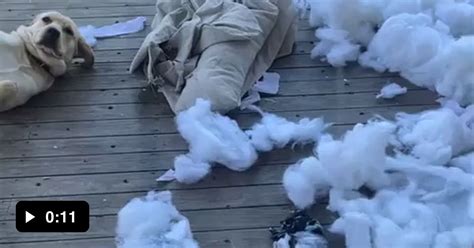 Somebody S Gonna Get Their Ass Kicked GAG