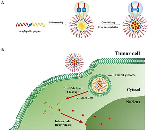 Frontiers Recent Progress And Advances In Stimuli Responsive Polymers