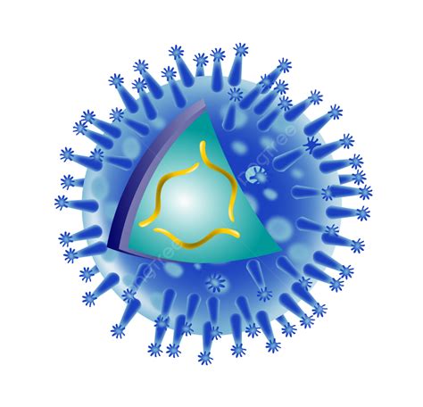 Estructura Del Virus De La Gripe Pandemia Png Dibujos Ilustraci N