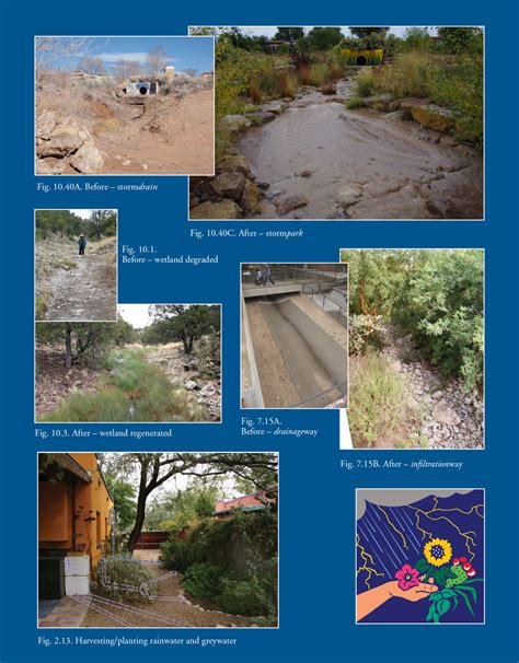 Rainwater Harvesting For Drylands And Beyond By Brad Lancaster Blog