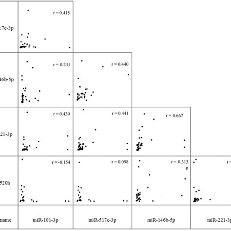 Two By Two Correlation Between The Mirnas Mir P Mir B P