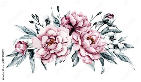 Dusty pink flowers peonies watercolor, floral clip art. Bouquet perfectly for printing design on ...