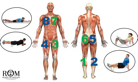 Crossfitters Guide To Managing Pain Stiffness Movement Alteration