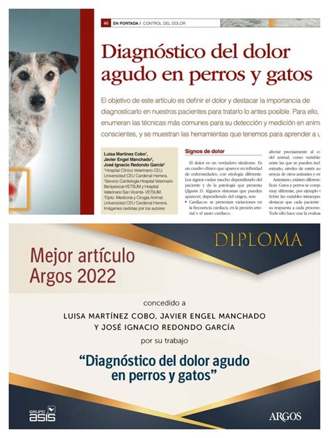 Diagnóstico del dolor agudo en perros y gatos mejor artículo de