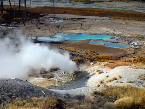 Geysers Hot Springs Yellowstone National Park Wyoming Stock Photo ...