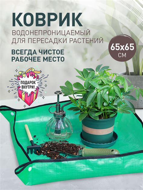 Коврик для пересадки растений купить на OZON по низкой цене (1774011801)