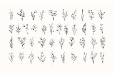 Set Of Beautiful Hand Drawn Botanical Flowers Collection 21689708 Vector Art At Vecteezy