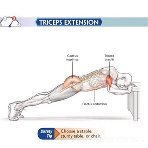 Triceps Extension | Fitness Workouts & Exercises