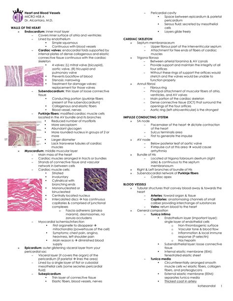 Solution Histology Of The Heart And Blood Vessels Studypool