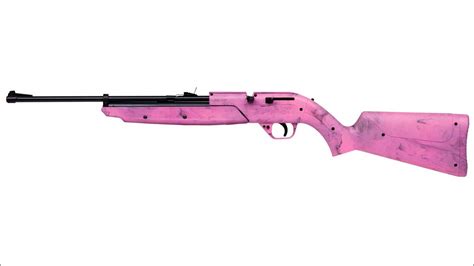 ARIvsAUGGIE Pink Crosman 760 PUMPMASTER BB Gun Review By Ari YouTube