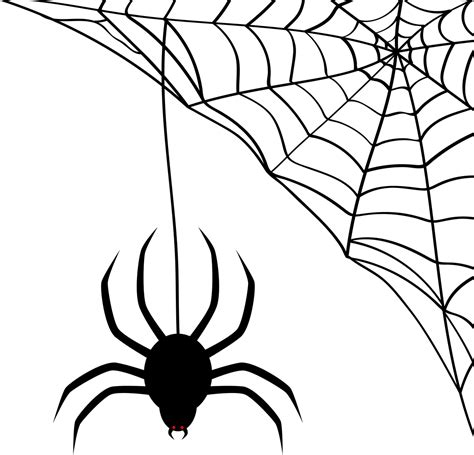 Spider Network Cobweb Halloween Png Image Desenhos De Halloween Teia