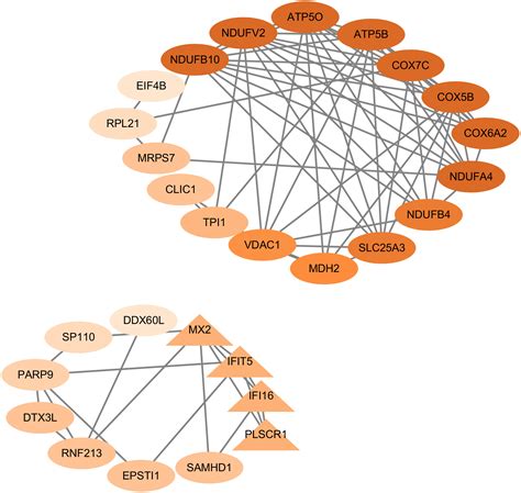 Co Expression Network Analysis Reveals The Pivotal Role Of