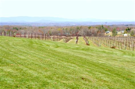 Yadkin Valley Day Trip Itinerary Wine Tasting In Nc Forks And Folly