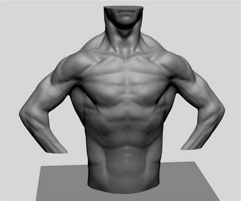 Artstation Male Torso 08 Resources