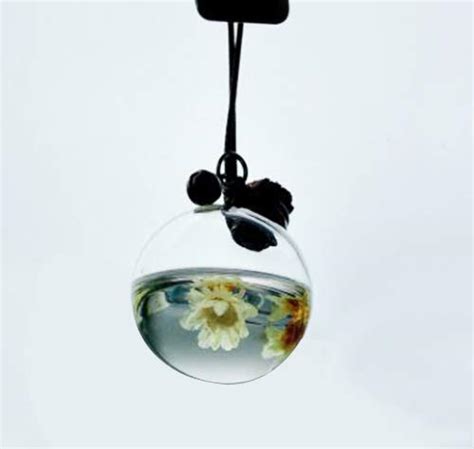 Misss Beauty Car Hanging Perfume Pendant Fragrance Air Freshener Empty