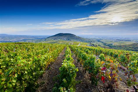 Photos Le Mont Brouilly Et Les Vignes Du Beaujolais Au Lever Du Jour